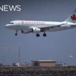 Former Air Canada captain allegedly flew hundreds of flights without proper licence: police