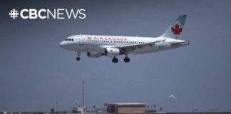 Former Air Canada captain allegedly flew hundreds of flights without proper licence: police
