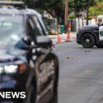 Man fatally shot by ICE agents during arrest in Houston 
