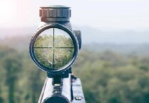 Rifle scope aiming at a forest canopy