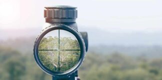 Rifle scope aiming at a forest canopy