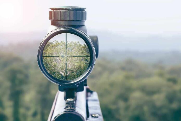 shutterstock_1225045114 Rifle scope aiming at a forest canopy