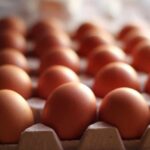 Egg Industry Reaches Major Antitrust Settlement Close-up of brown eggs arranged in a carton