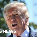 Trump pauses tariffs on Canada for 3 days amid "very good deal"