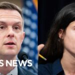 8 Democrats break rank and vote for anti-socialism bill