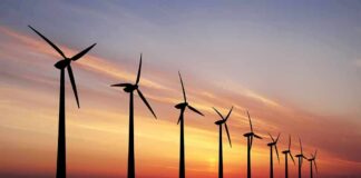 Wind turbines silhouetted at sunset over a flat landscape